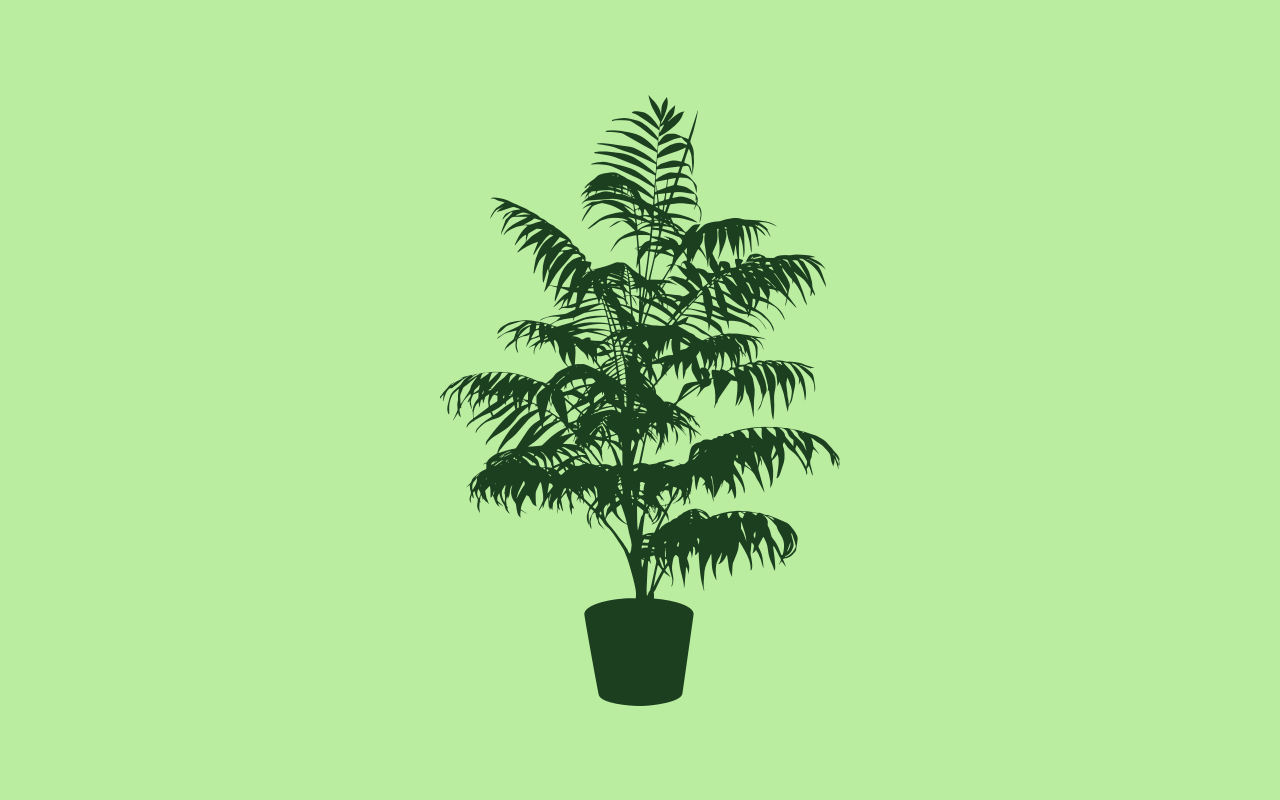 Illustration of a plant in a pot