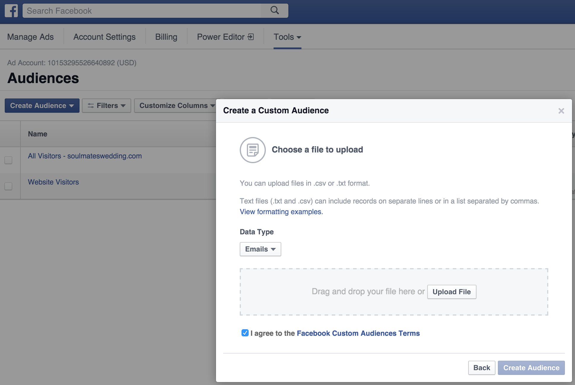 Facebook custom audiences screenshot